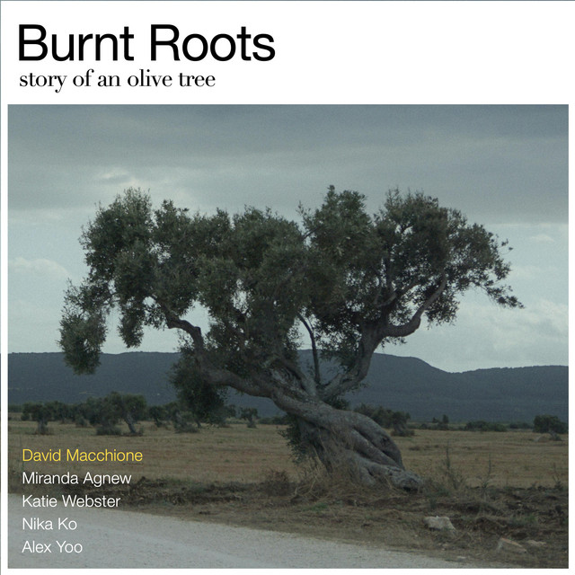 Burn Roots